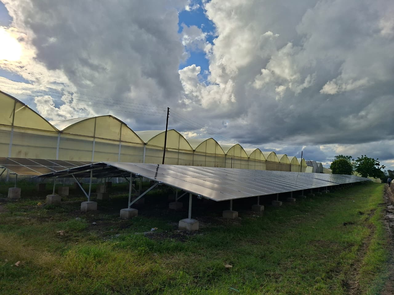 321kWp Grid-Tied image 153